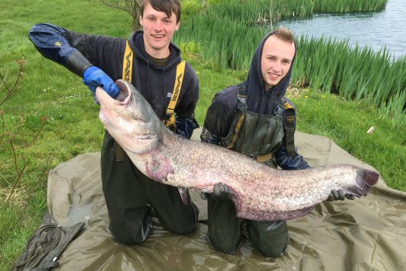 cache_24719852632169